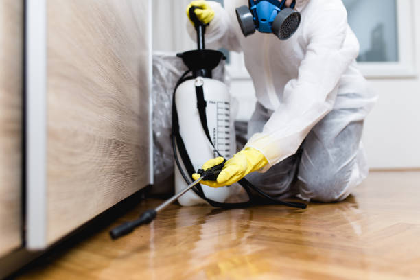 Trusted Shell Kno, MO Pest Control Experts