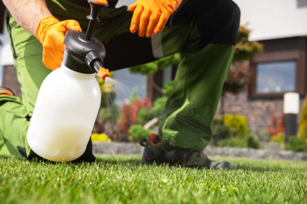 Best Exterminator Services  in Shell Kno, MO