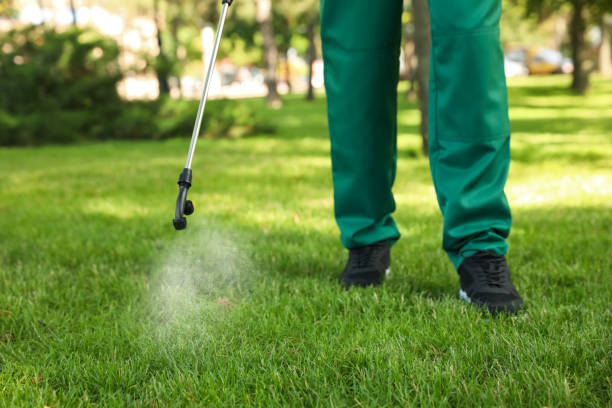 Best Residential Pest Control  in Shell Kno, MO