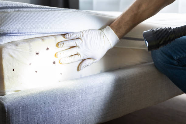 Pest Prevention Services in Shell Kno, MO