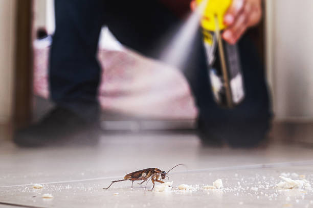 Best Best Pest Control Companies  in Shell Kno, MO