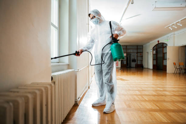 Best Pest Removal Services  in Shell Kno, MO